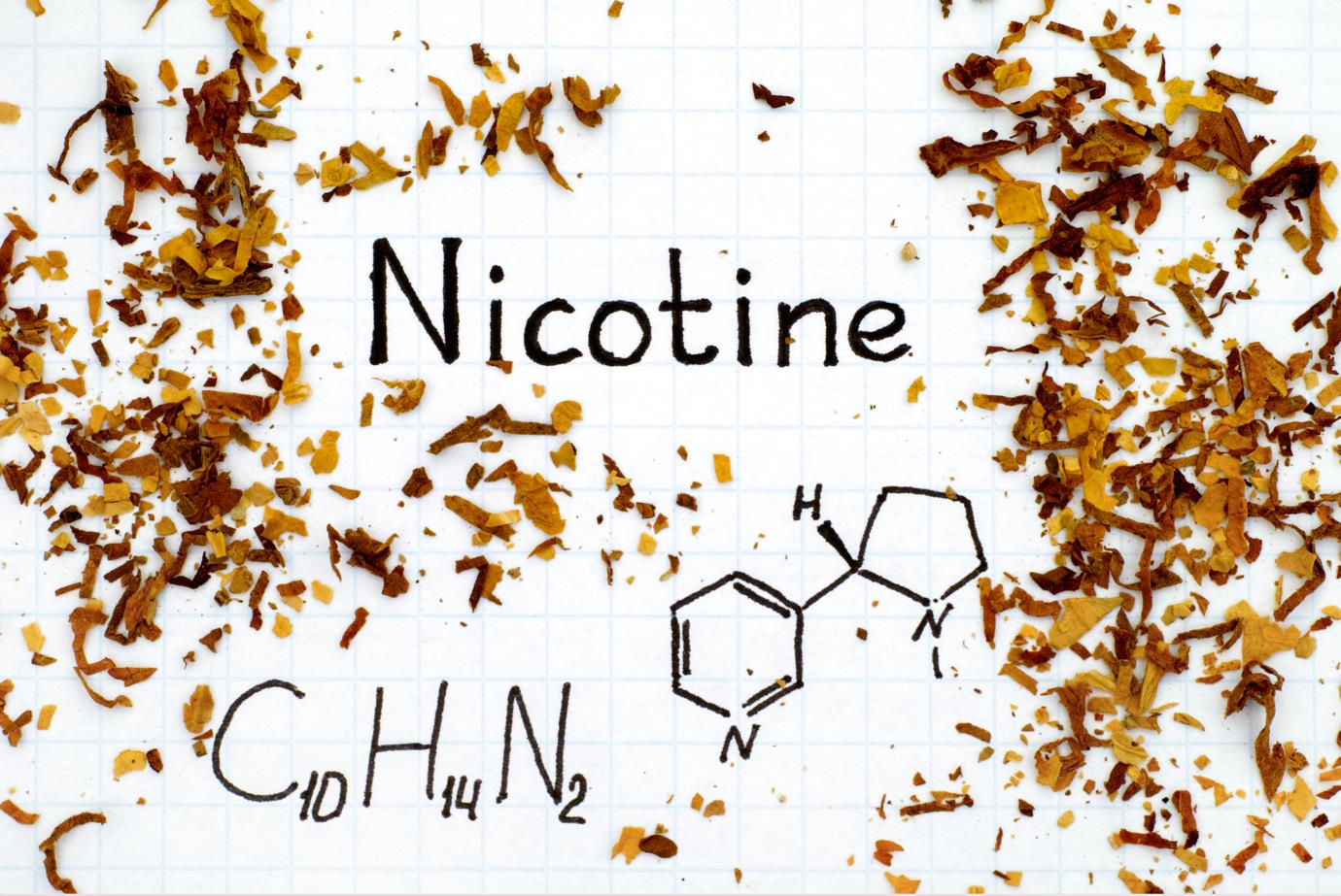 Nicotine trong thuốc lá là chất gây nghiện mạnh